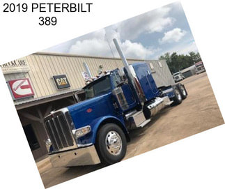 2019 PETERBILT 389