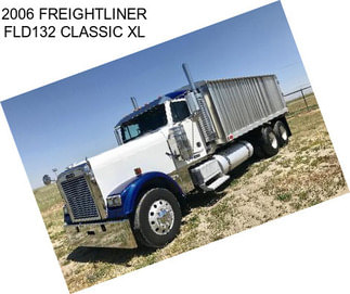 2006 FREIGHTLINER FLD132 CLASSIC XL