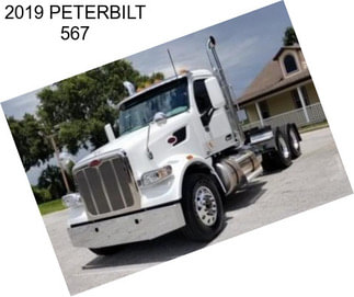 2019 PETERBILT 567