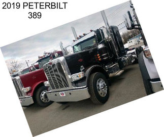 2019 PETERBILT 389