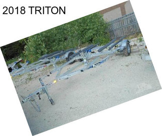 2018 TRITON