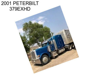 2001 PETERBILT 379EXHD