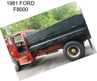 1981 FORD F8000