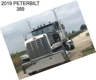 2019 PETERBILT 389