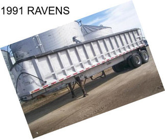 1991 RAVENS