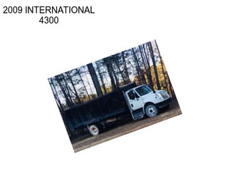 2009 INTERNATIONAL 4300