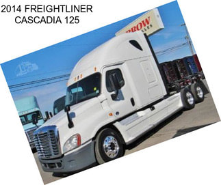 2014 FREIGHTLINER CASCADIA 125