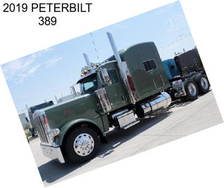 2019 PETERBILT 389