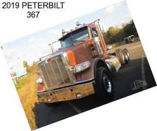 2019 PETERBILT 367