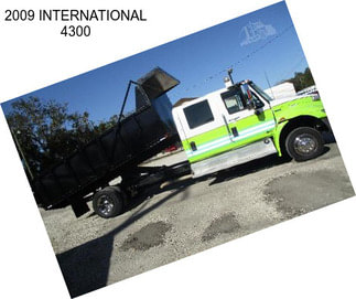 2009 INTERNATIONAL 4300