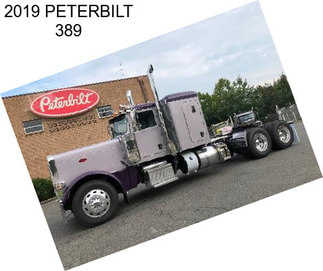 2019 PETERBILT 389