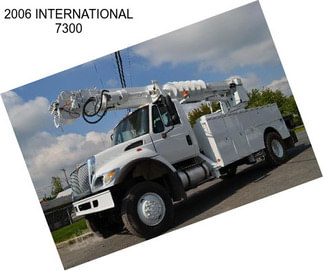 2006 INTERNATIONAL 7300