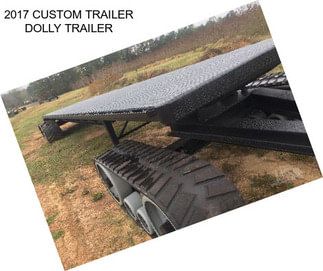 2017 CUSTOM TRAILER DOLLY TRAILER