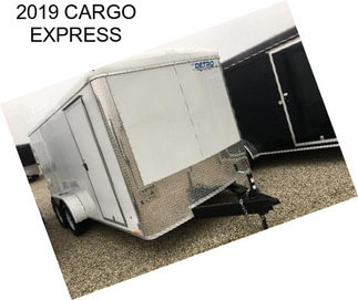 2019 CARGO EXPRESS