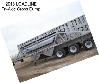 2018 LOADLINE Tri-Axle Cross Dump