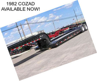 1982 COZAD AVAILABLE NOW!