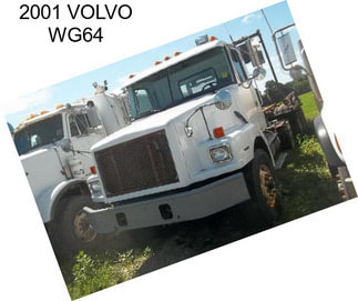 2001 VOLVO WG64