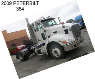 2009 PETERBILT 384