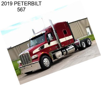 2019 PETERBILT 567