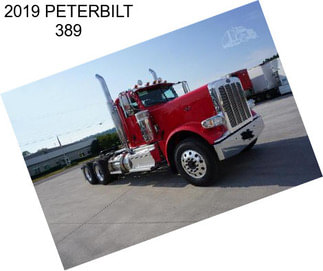 2019 PETERBILT 389