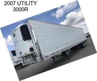 2007 UTILITY 3000R