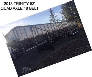 2018 TRINITY 53\' QUAD AXLE 48\