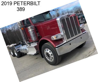 2019 PETERBILT 389