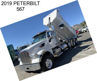 2019 PETERBILT 567