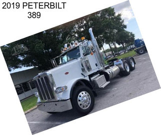 2019 PETERBILT 389