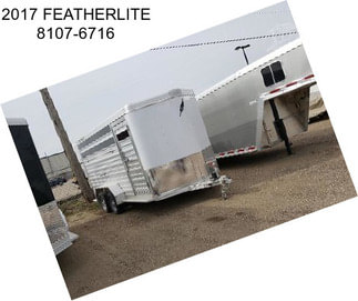 2017 FEATHERLITE 8107-6716