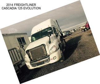 2014 FREIGHTLINER CASCADIA 125 EVOLUTION