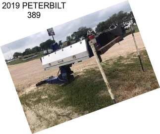 2019 PETERBILT 389