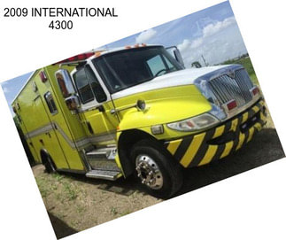 2009 INTERNATIONAL 4300