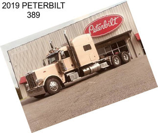 2019 PETERBILT 389