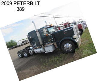 2009 PETERBILT 389