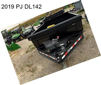 2019 PJ DL142