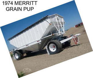 1974 MERRITT GRAIN PUP