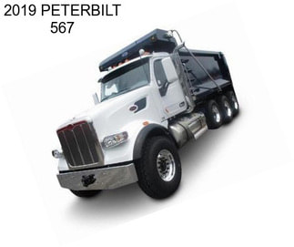 2019 PETERBILT 567