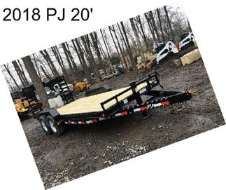 2018 PJ 20\'