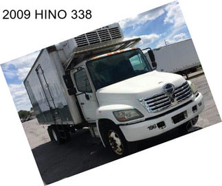 2009 HINO 338