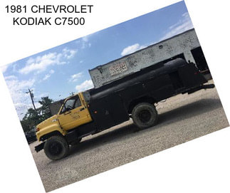 1981 CHEVROLET KODIAK C7500