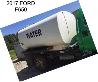 2017 FORD F650