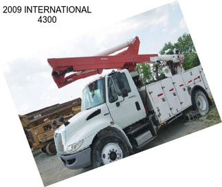 2009 INTERNATIONAL 4300