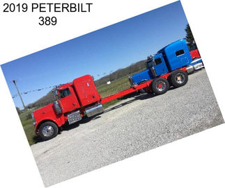 2019 PETERBILT 389