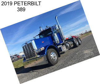 2019 PETERBILT 389