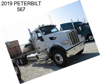 2019 PETERBILT 567