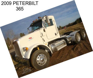 2009 PETERBILT 365