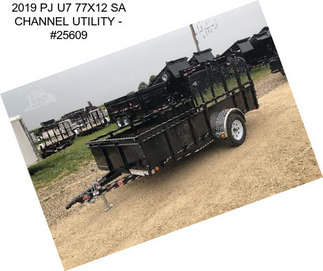 2019 PJ U7 77\