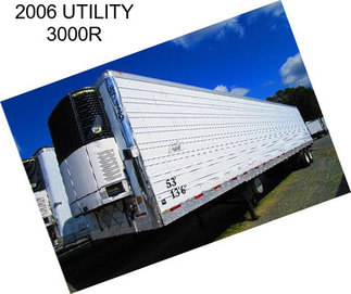 2006 UTILITY 3000R