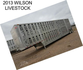 2013 WILSON LIVESTOCK